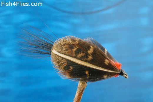 Fish4Flies Walker's Killer